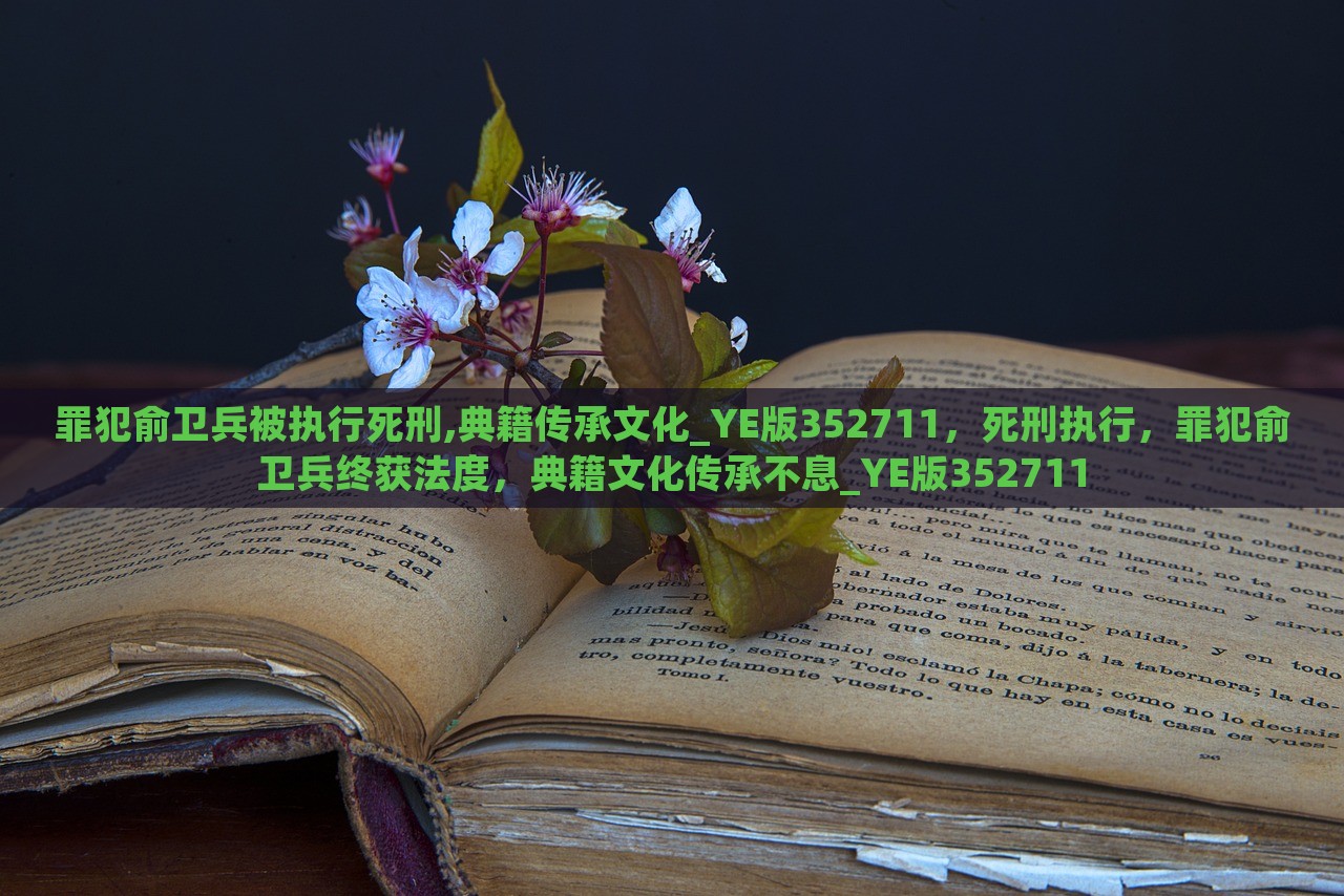 罪犯俞卫兵被执行死刑,典籍传承文化_YE版352711，死刑执行，罪犯俞卫兵终获法度，典籍文化传承不息_YE版352711