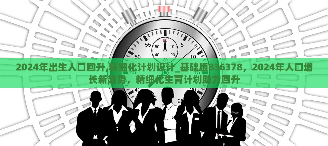 2024年出生人口回升,精细化计划设计_基础版836378，2024年人口增长新趋势，精细化生育计划助力回升