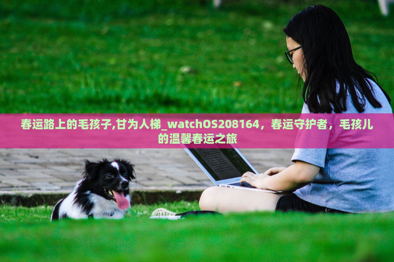 春运路上的毛孩子,甘为人梯_watchOS208164，春运守护者，毛孩儿的温馨春运之旅