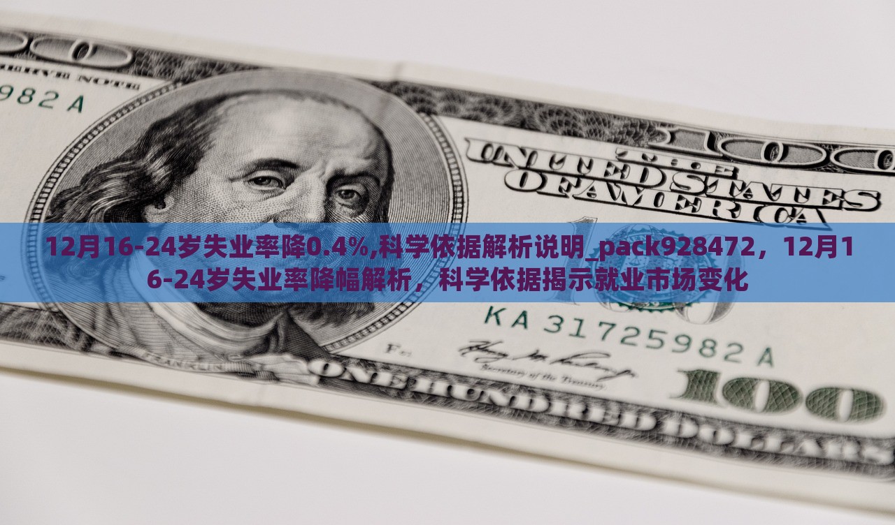 12月16-24岁失业率降0.4%,科学依据解析说明_pack928472，12月16-24岁失业率降幅解析，科学依据揭示就业市场变化