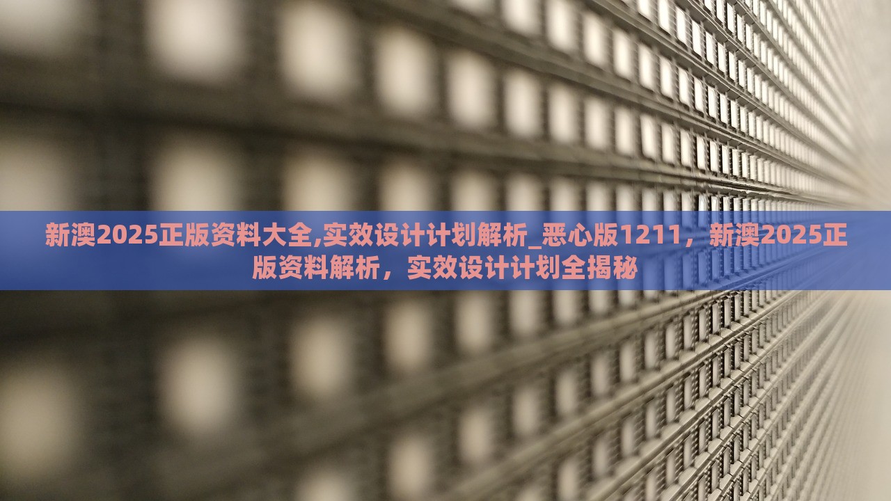 新澳2025正版资料大全,实效设计计划解析_恶心版1211，新澳2025正版资料解析，实效设计计划全揭秘