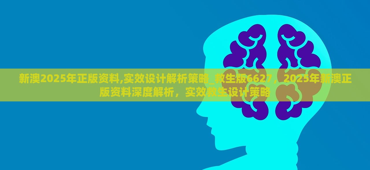 新澳2025年正版资料,实效设计解析策略_救生版6627，2025年新澳正版资料深度解析，实效救生设计策略