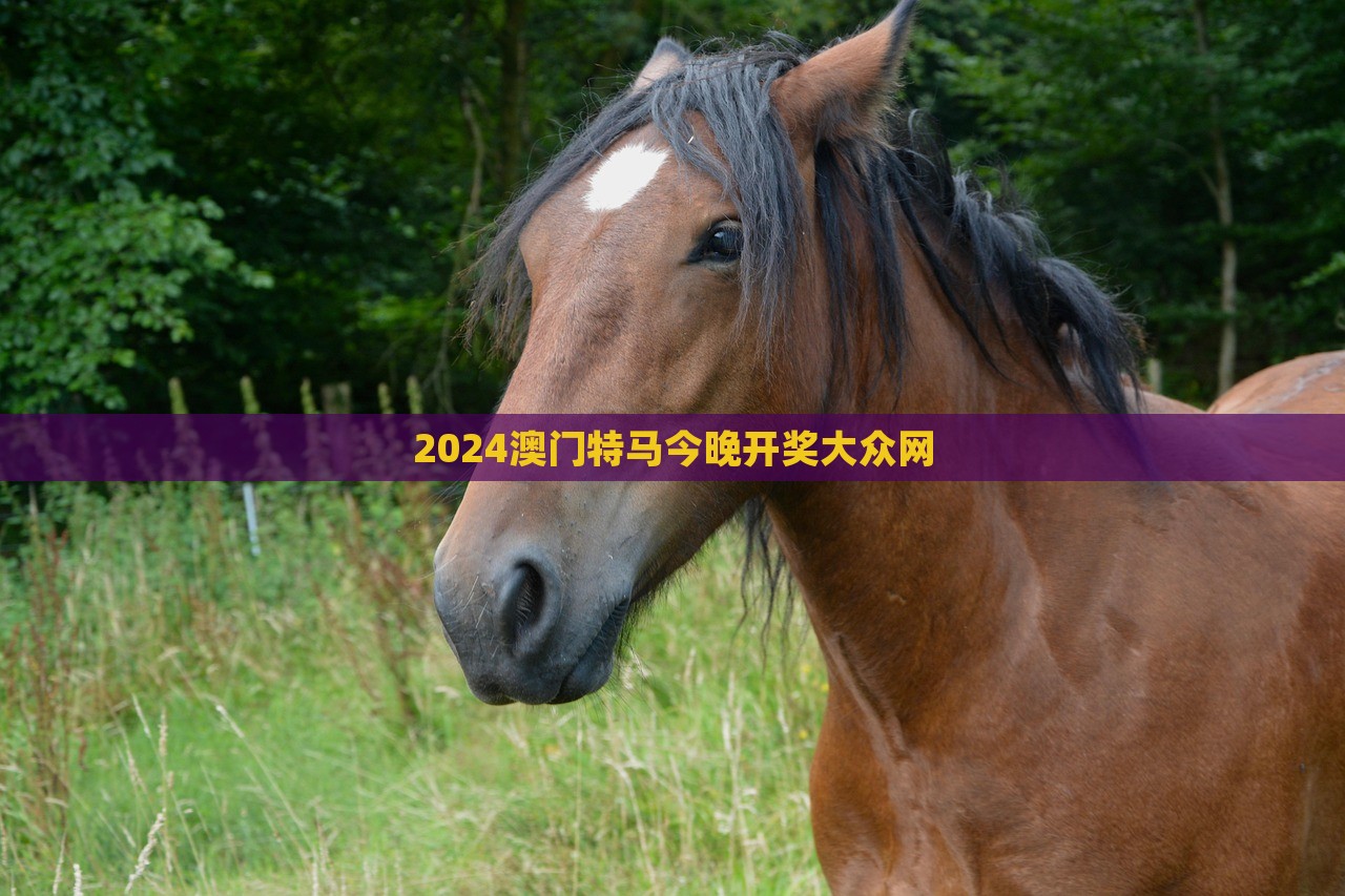 2024澳门特马今晚开奖大众网，澳门特马今晚开奖结果揭晓，大众网实时更新