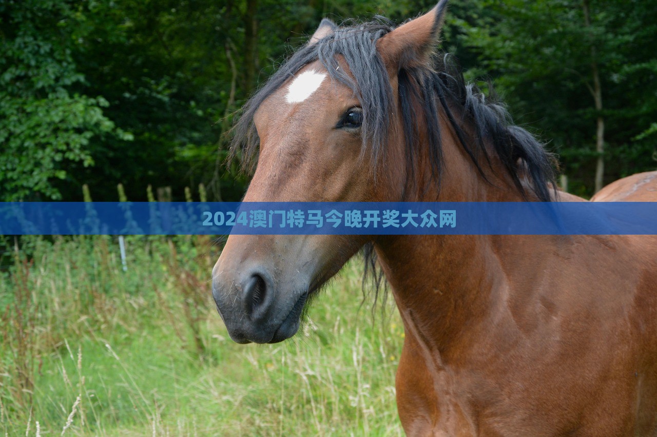 2024澳门特马今晚开奖大众网，澳门特马今晚开奖结果揭晓，大众网实时更新