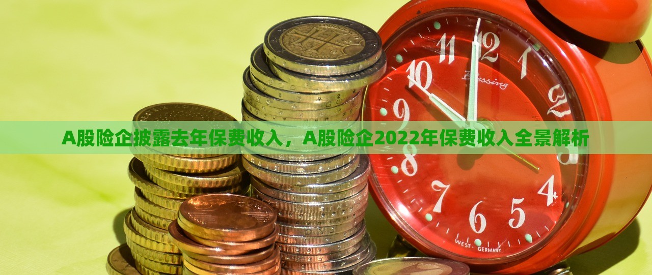 A股险企披露去年保费收入，A股险企2022年保费收入全景解析，A股险企2022年保费收入全景解析，年度收入披露揭秘