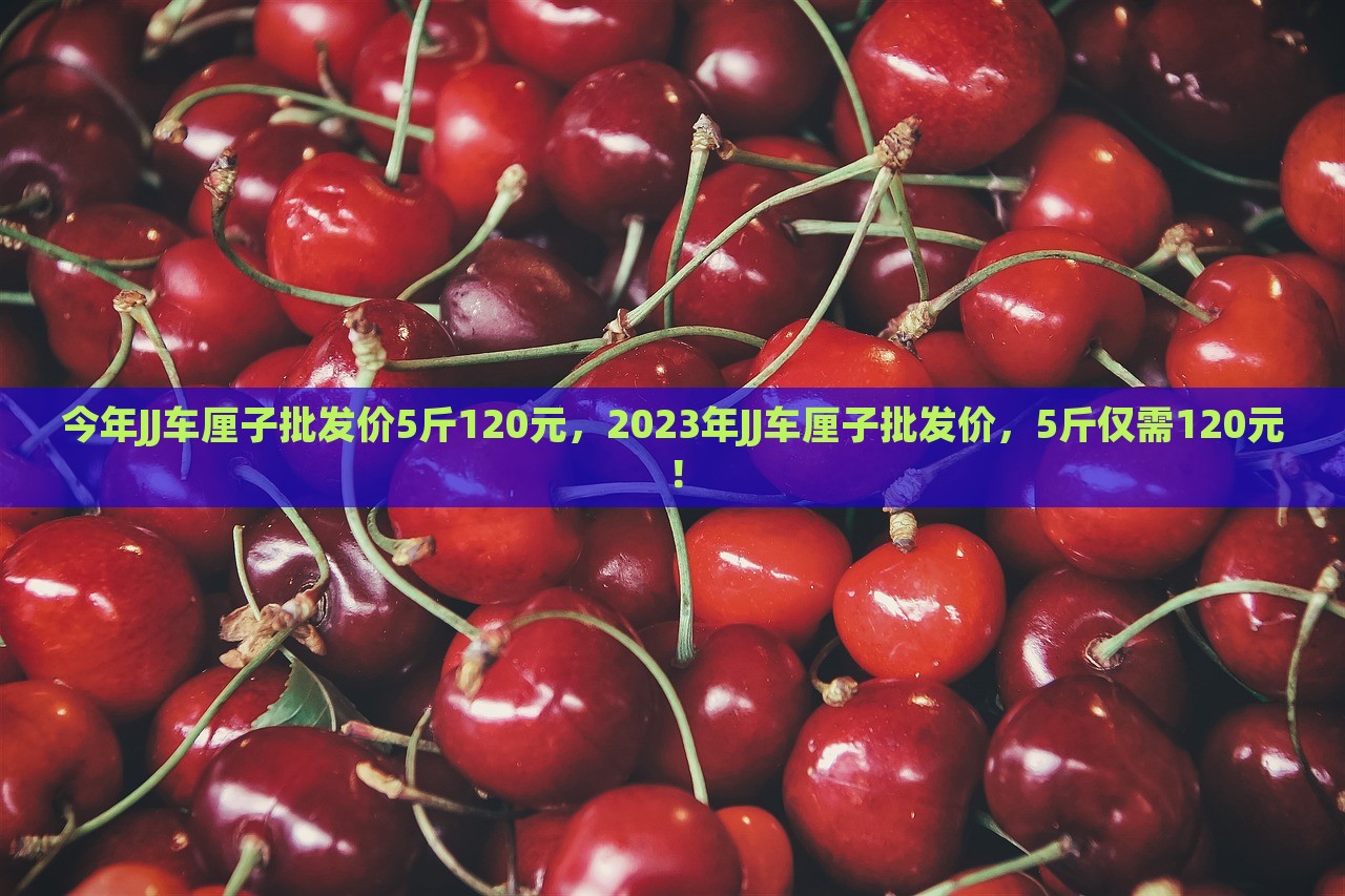 今年JJ车厘子批发价5斤120元，2023年JJ车厘子批发价，5斤仅需120元！，2023年JJ车厘子批发价优惠，5斤仅需120元