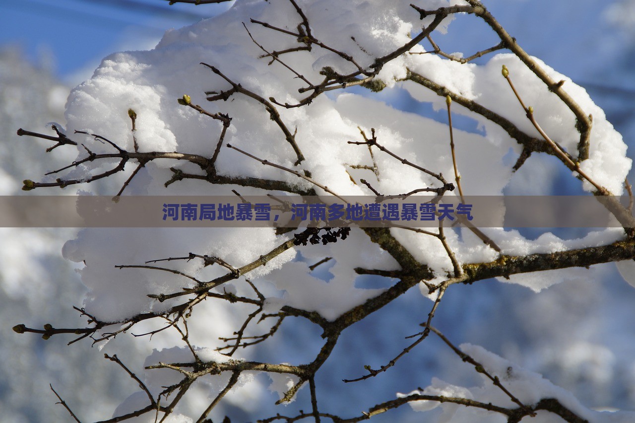 河南局地暴雪，河南多地遭遇暴雪天气，河南多地遭遇罕见暴雪天气