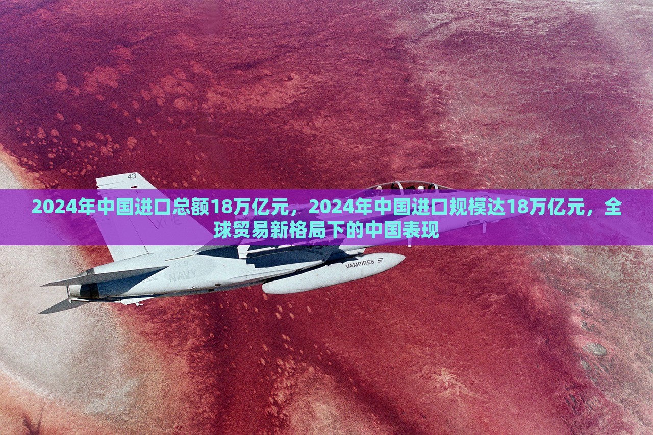 2024年中国进口总额18万亿元，2024年中国进口规模达18万亿元，全球贸易新格局下的中国表现，全球贸易新格局下，中国进口总额达18万亿元展现强劲增长势头