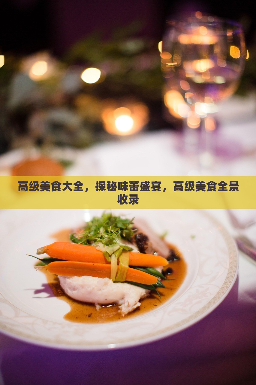 高级美食大全，探秘味蕾盛宴，高级美食全景收录，高级美食盛宴，全景收录，探秘味蕾之旅