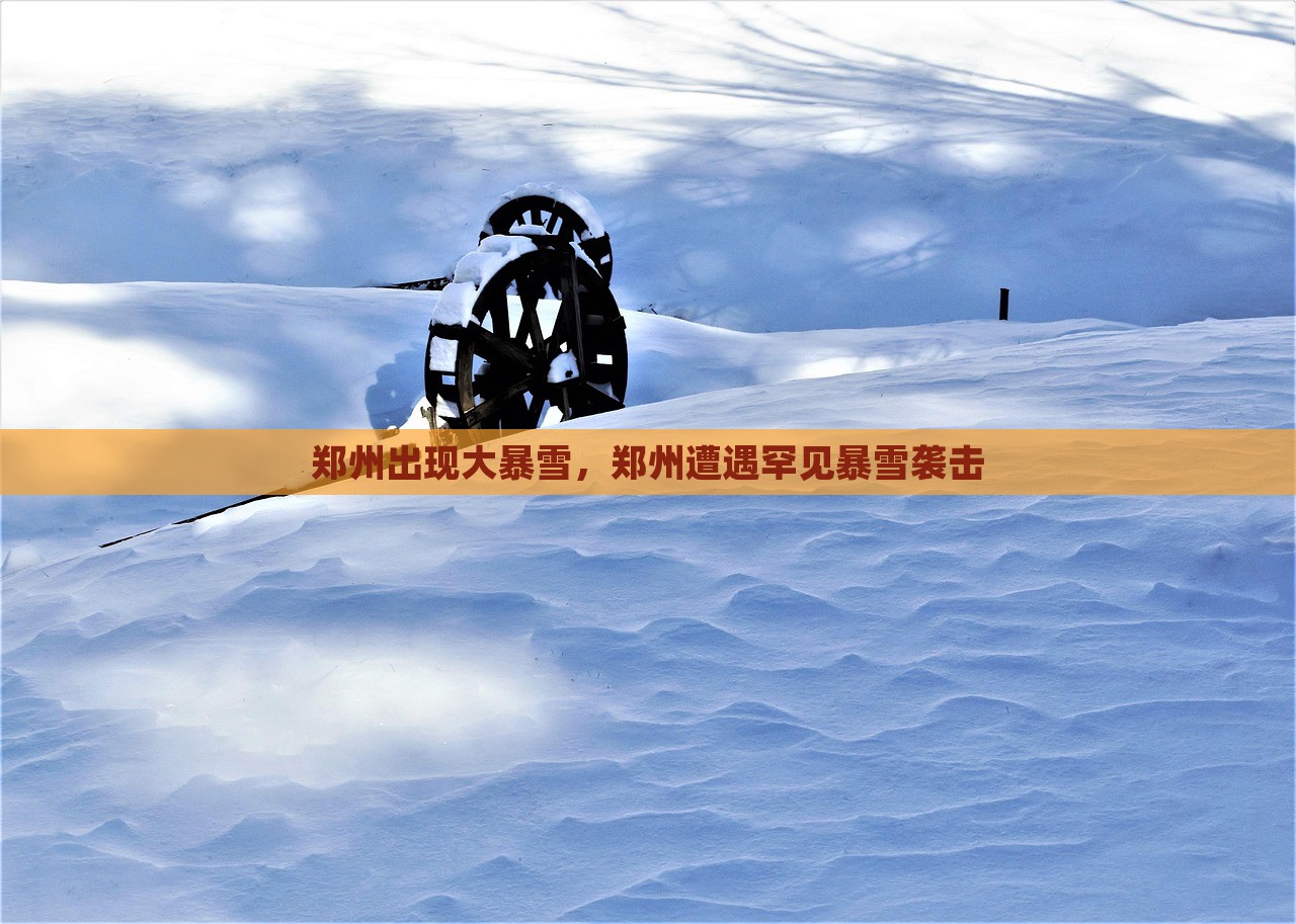 郑州出现大暴雪，郑州遭遇罕见暴雪袭击，郑州遭遇罕见大暴雪袭击