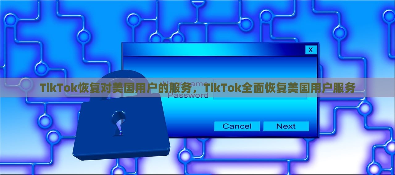 TikTok恢复对美国用户的服务，TikTok全面恢复美国用户服务，TikTok恢复美国用户服务