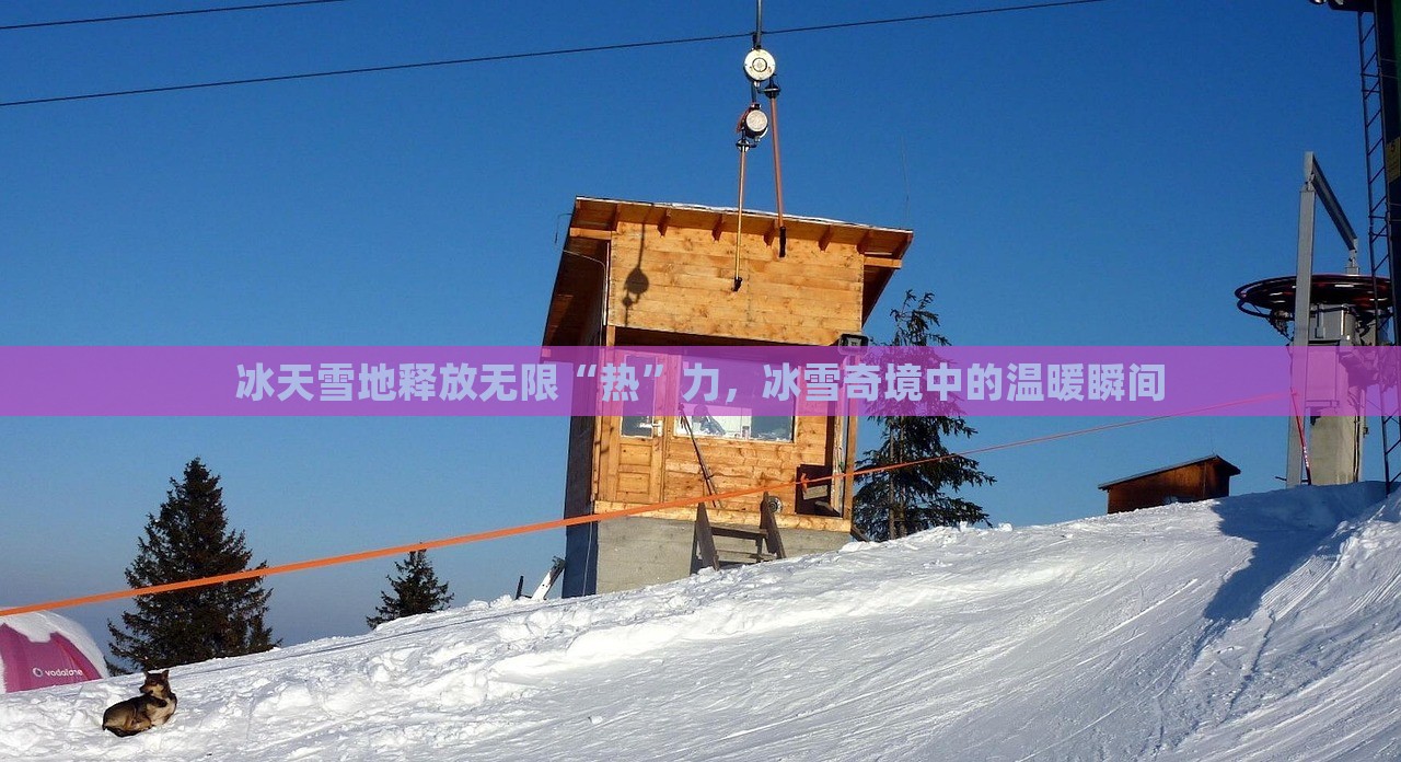 冰天雪地释放无限“热”力，冰雪奇境中的温暖瞬间，冰雪世界中的温暖瞬间，释放无限热力