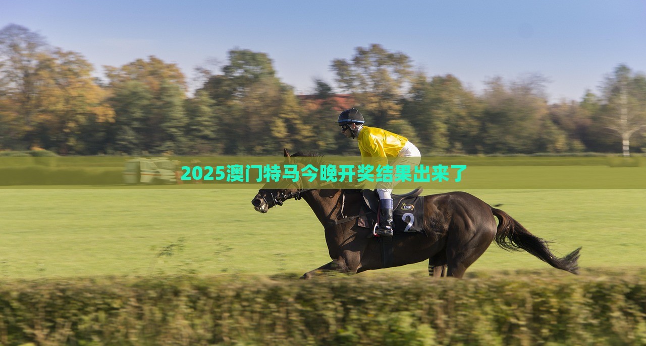 2025澳门特马今晚开奖结果出来了，澳门特马2023年今晚开奖结果揭晓