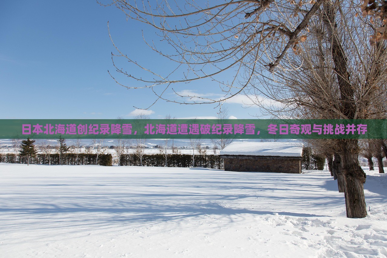 日本北海道创纪录降雪，北海道遭遇破纪录降雪，冬日奇观与挑战并存，日本北海道破纪录降雪，冬日奇观与挑战同步上演