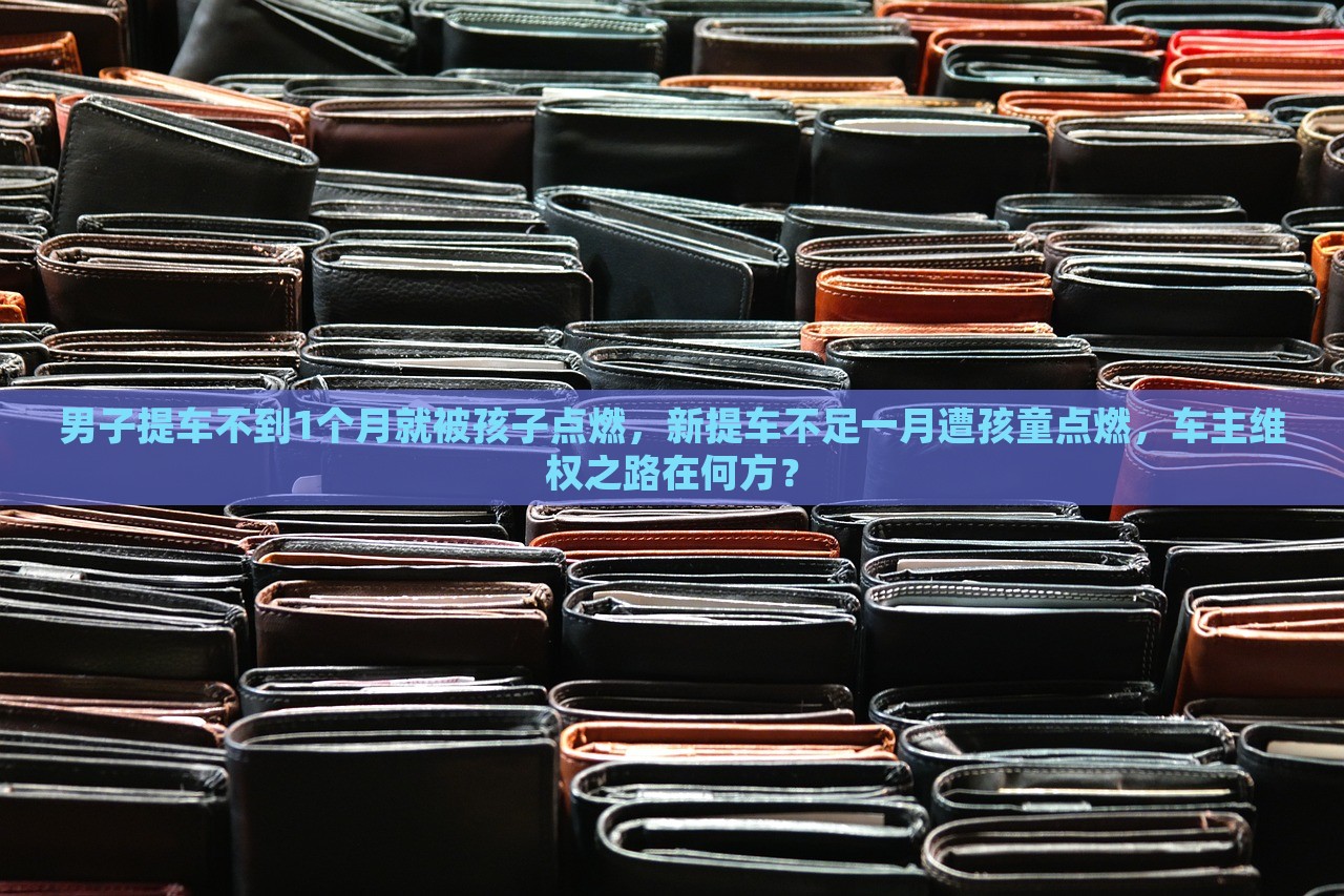 男子提车不到1个月就被孩子点燃，新提车不足一月遭孩童点燃，车主维权之路在何方？，男子新车提车不到一个月遭孩童点燃，车主维权之路何去何从？