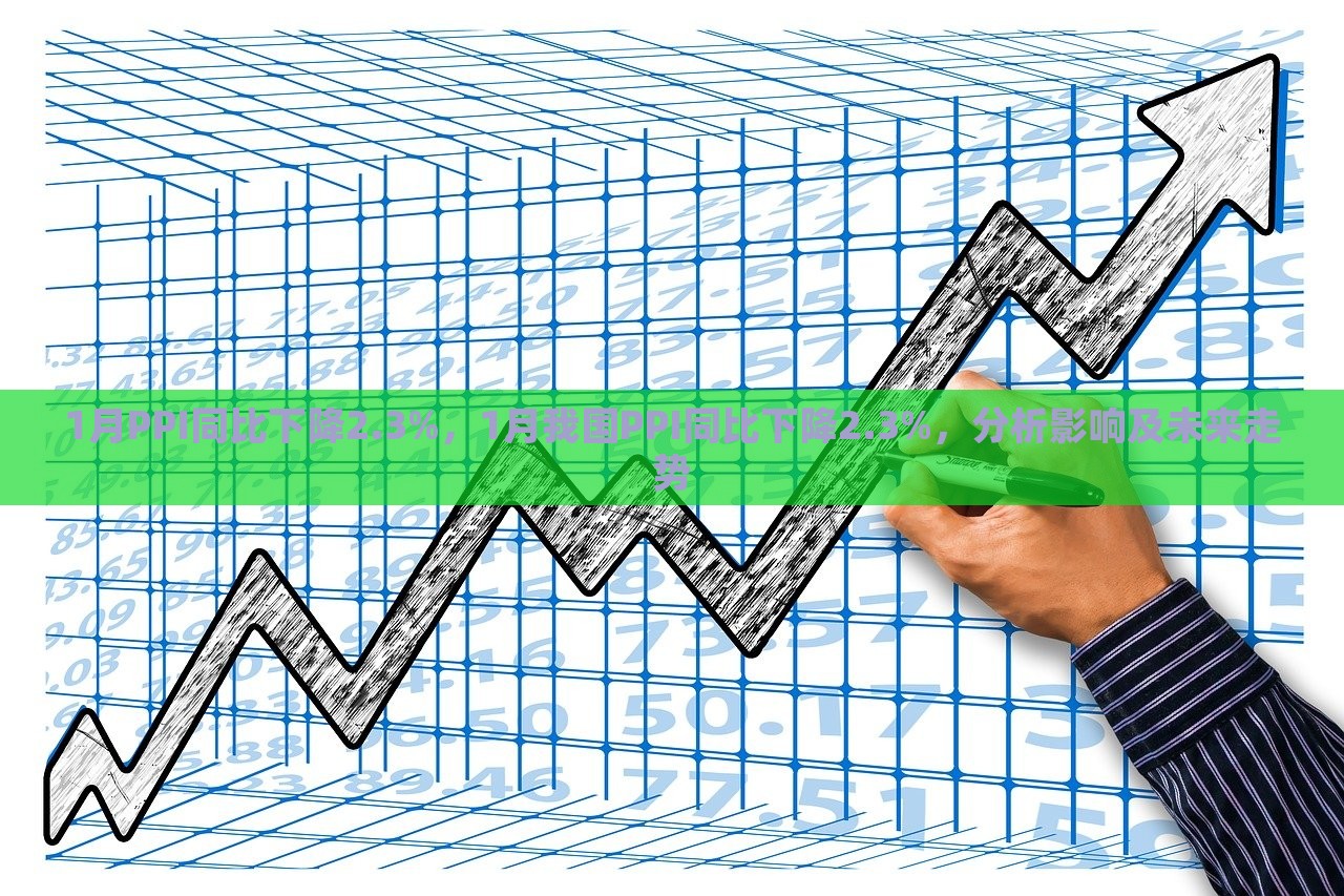 1月PPI同比下降2.3%，1月我国PPI同比下降2.3%，分析影响及未来走势，1月PPI同比下降2.3%，解析影响因素与未来走势