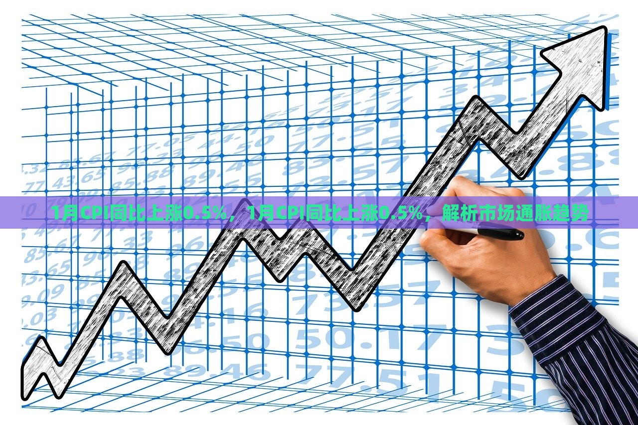 1月CPI同比上涨0.5%，1月CPI同比上涨0.5%，解析市场通胀趋势，解析市场通胀趋势，1月CPI同比上涨0.5%