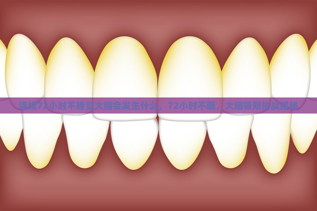 连续72小时不睡觉大脑会发生什么，72小时不眠，大脑极限挑战揭秘，揭秘连续72小时不睡觉大脑的变化，挑战大脑极限的真相探索