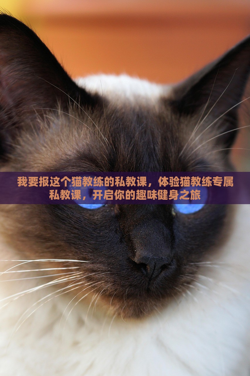 我要报这个猫教练的私教课，体验猫教练专属私教课，开启你的趣味健身之旅，开启趣味健身之旅，专属猫教练私教课等你来体验