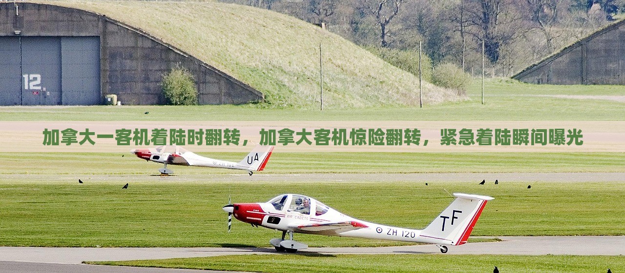 加拿大一客机着陆时翻转，加拿大客机惊险翻转，紧急着陆瞬间曝光，加拿大客机惊险翻转瞬间曝光，紧急着陆惊险时刻