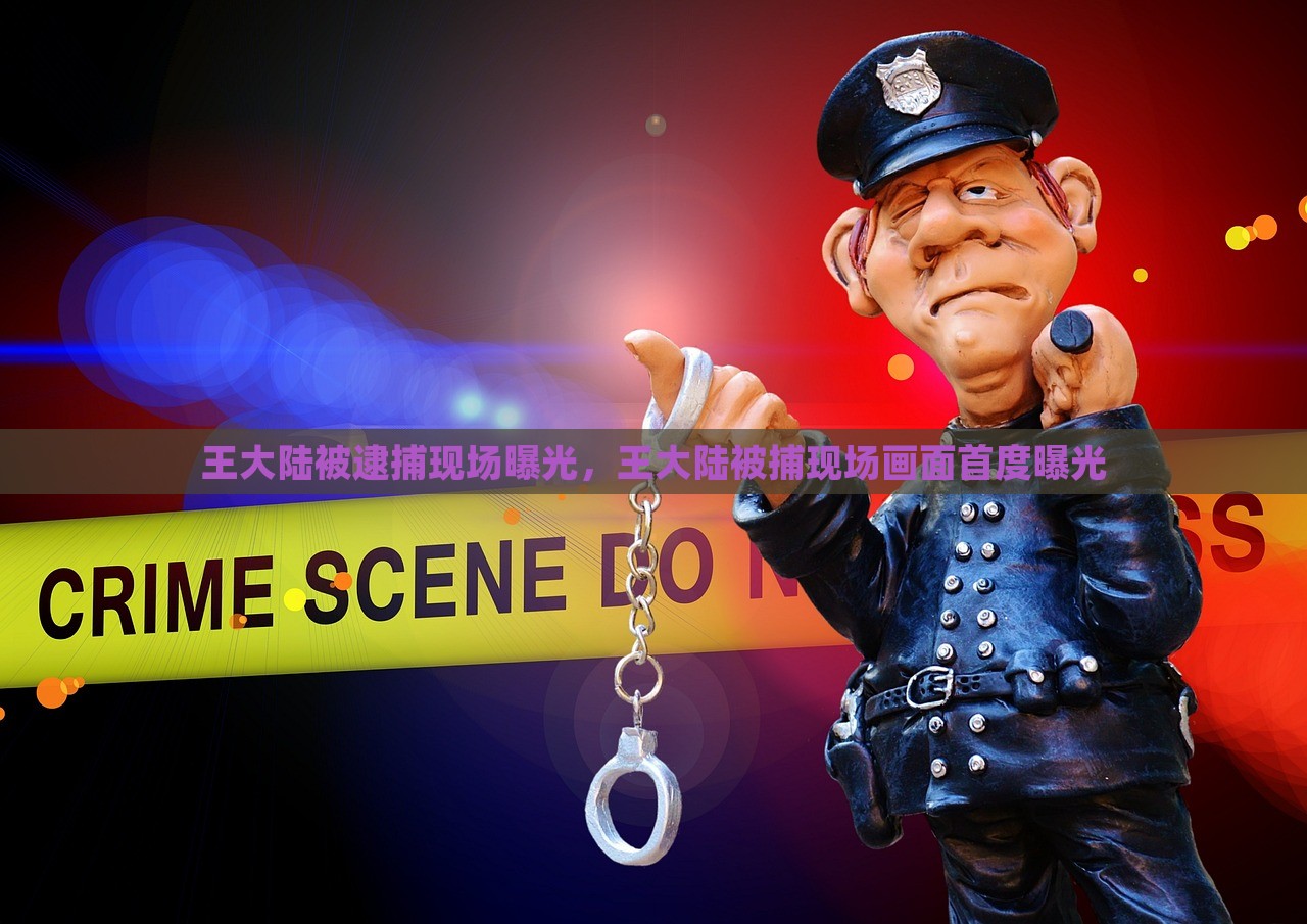 王大陆被逮捕现场曝光，王大陆被捕现场画面首度曝光，王大陆被捕现场首度曝光，揭秘现场画面