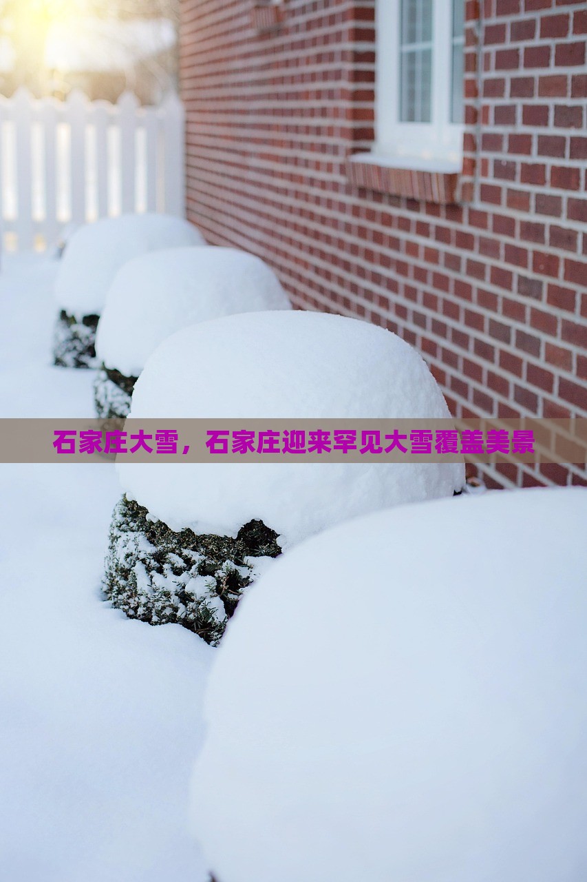 石家庄大雪，石家庄迎来罕见大雪覆盖美景，石家庄罕见大雪覆盖，美景如画展现雪中城市风采