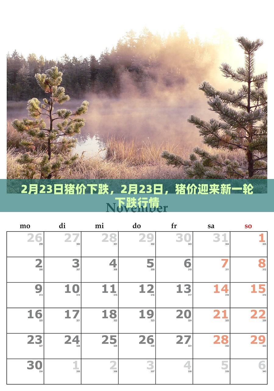 2月23日猪价下跌，2月23日，猪价迎来新一轮下跌行情，2月23日猪价再度下跌，新一轮行情引发关注