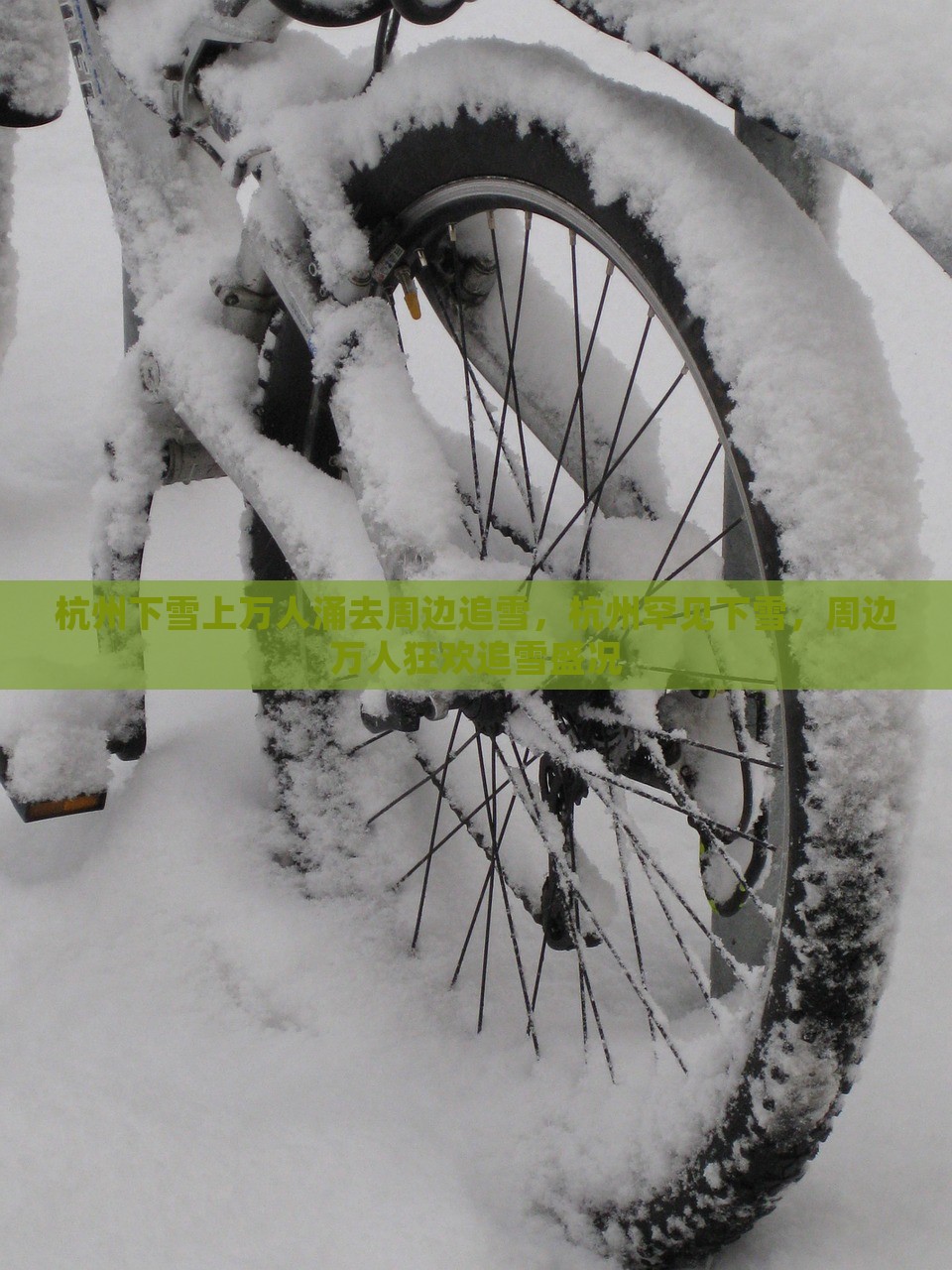 杭州下雪上万人涌去周边追雪，杭州罕见下雪，周边万人狂欢追雪盛况，杭州罕见下雪引发万人追雪狂欢