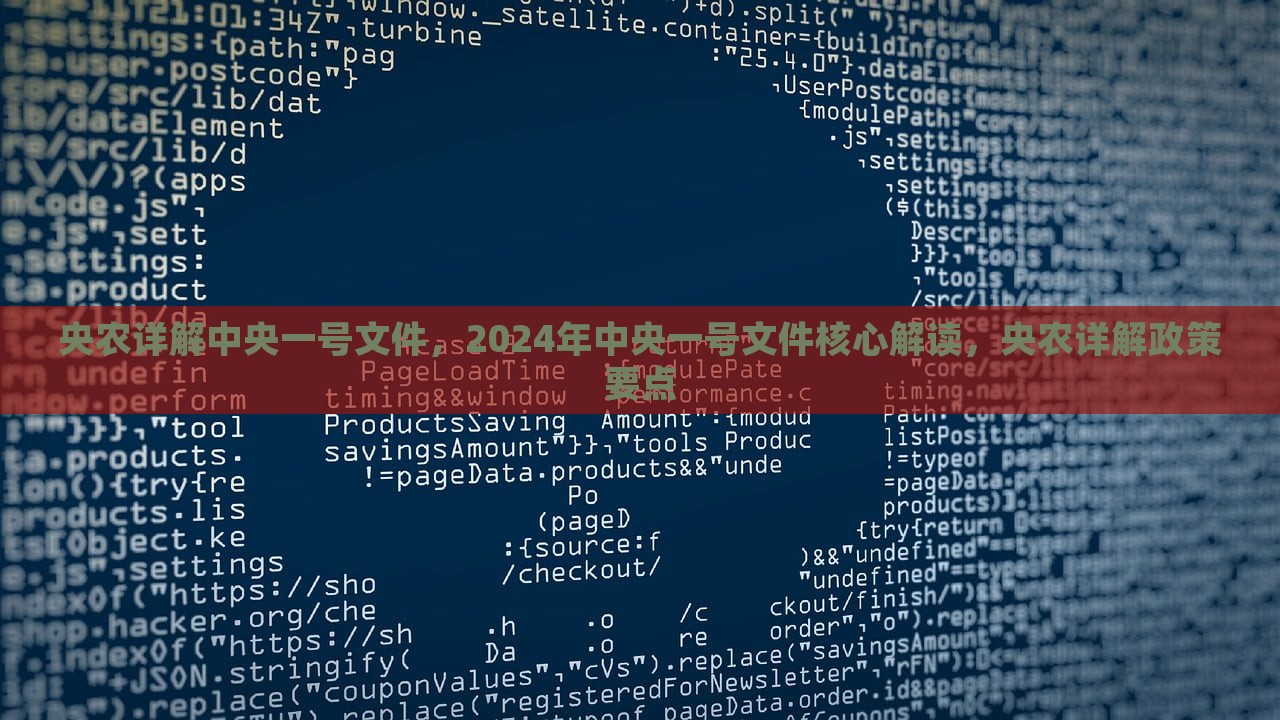 央农详解中央一号文件，2024年中央一号文件核心解读，央农详解政策要点，央农深度解读2024年中央一号文件，政策要点详解与核心解读