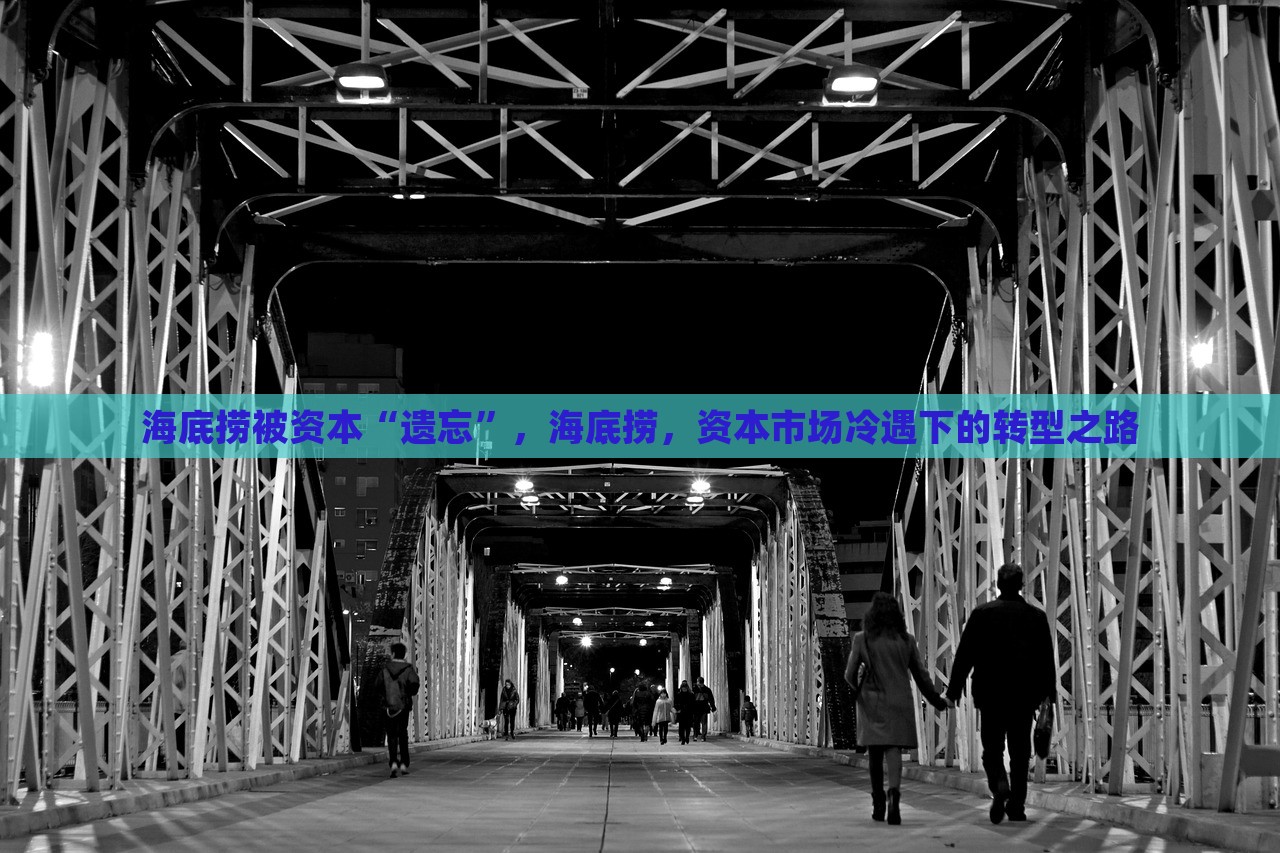 海底捞被资本“遗忘”，海底捞，资本市场冷遇下的转型之路，海底捞遭遇资本市场冷遇，探寻转型之路