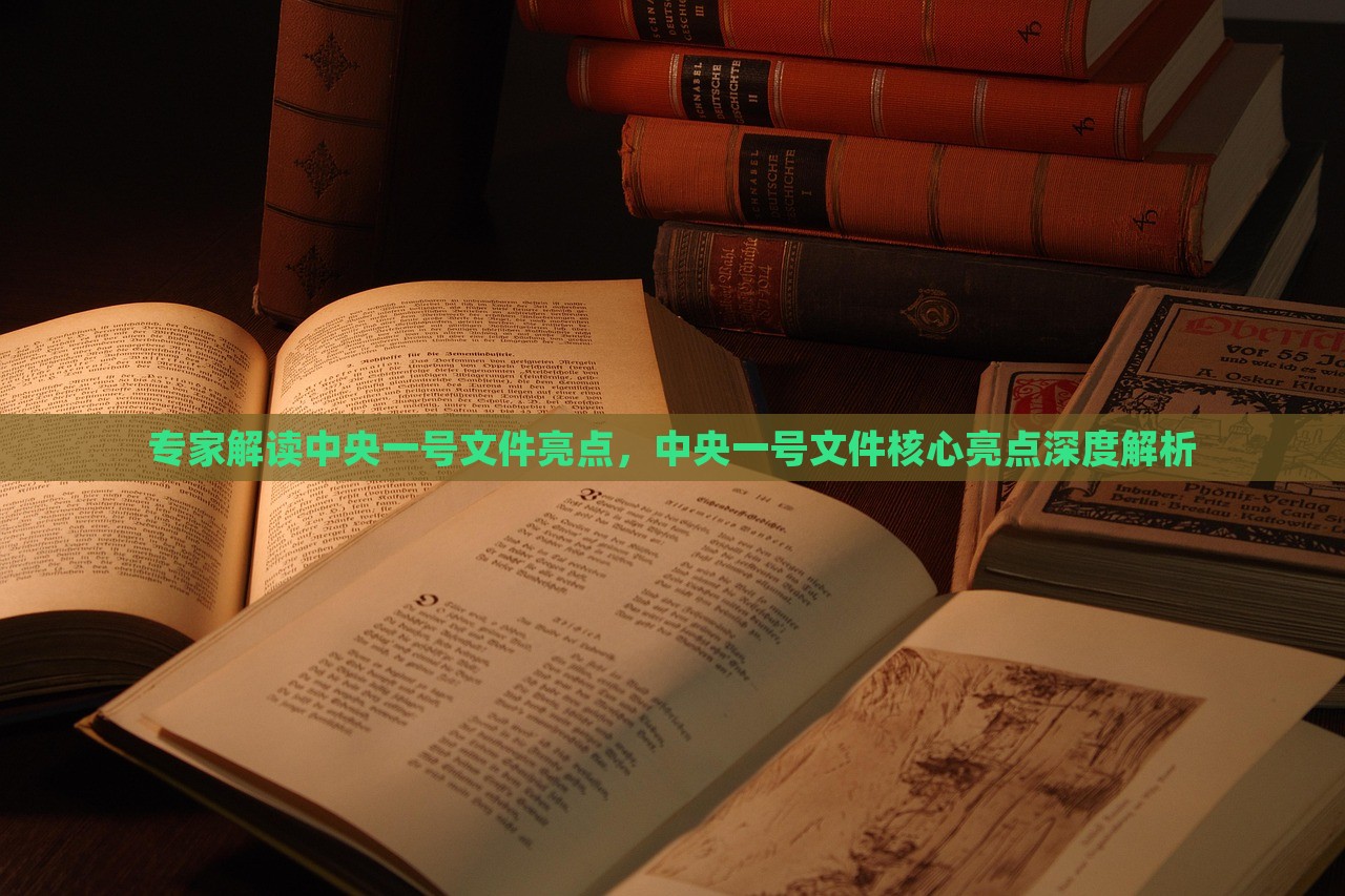 专家解读中央一号文件亮点，中央一号文件核心亮点深度解析，中央一号文件核心亮点深度解读，专家解读文件亮点分析