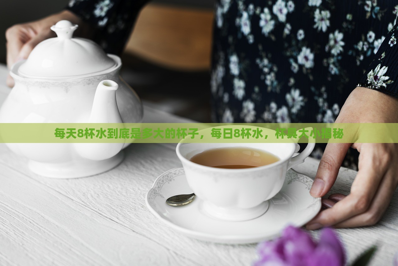 每天8杯水到底是多大的杯子，每日8杯水，杯具大小揭秘，每日8杯水，揭秘所需杯具大小