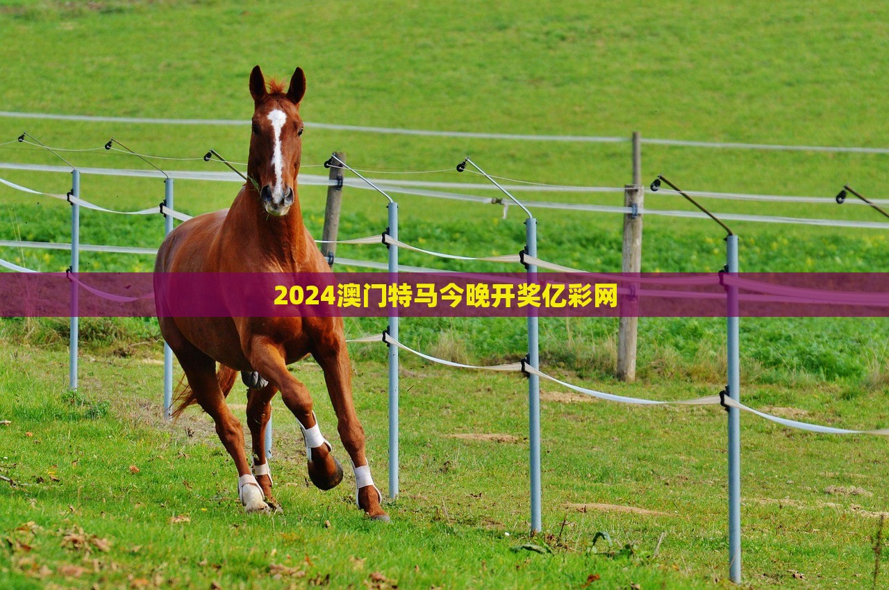 2024澳门特马今晚开奖亿彩网，澳门特马今晚开奖亿彩网揭晓，幸运大奖花落谁家？