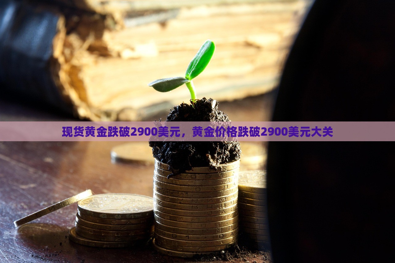 现货黄金跌破2900美元，黄金价格跌破2900美元大关，黄金价格跌破2900美元大关，市场走势分析