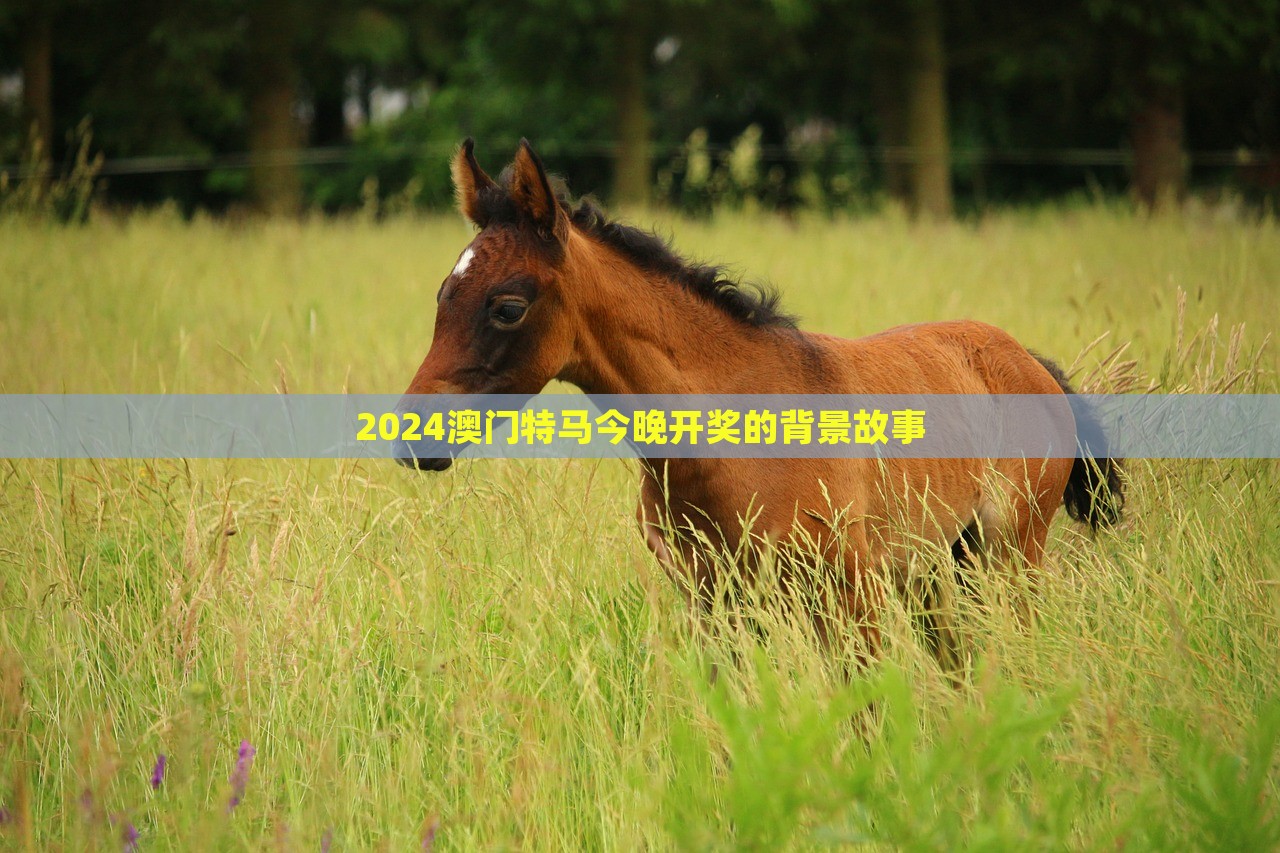 2024澳门特马今晚开奖的背景故事，澳门特马开奖背景故事揭秘，今晚揭晓悬念重重的特马传奇