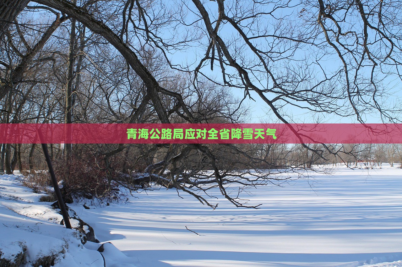 青海公路局应对全省降雪天气，青海公路局应对全省降雪天气，积极展开除雪保畅行动