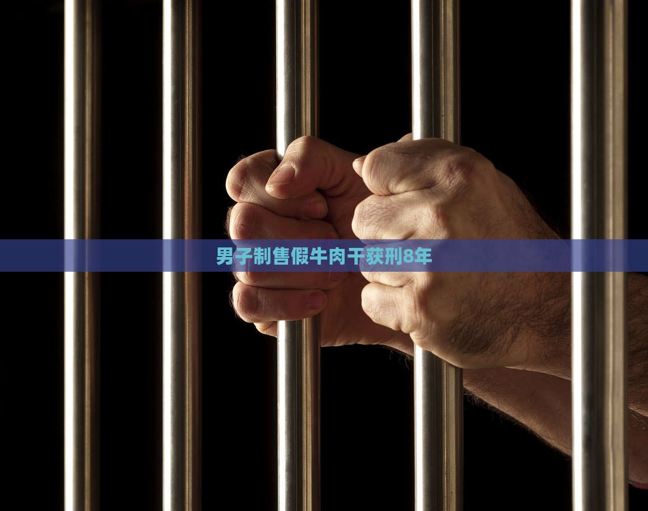 男子制售假牛肉干获刑8年，男子制售假牛肉干被判8年监禁