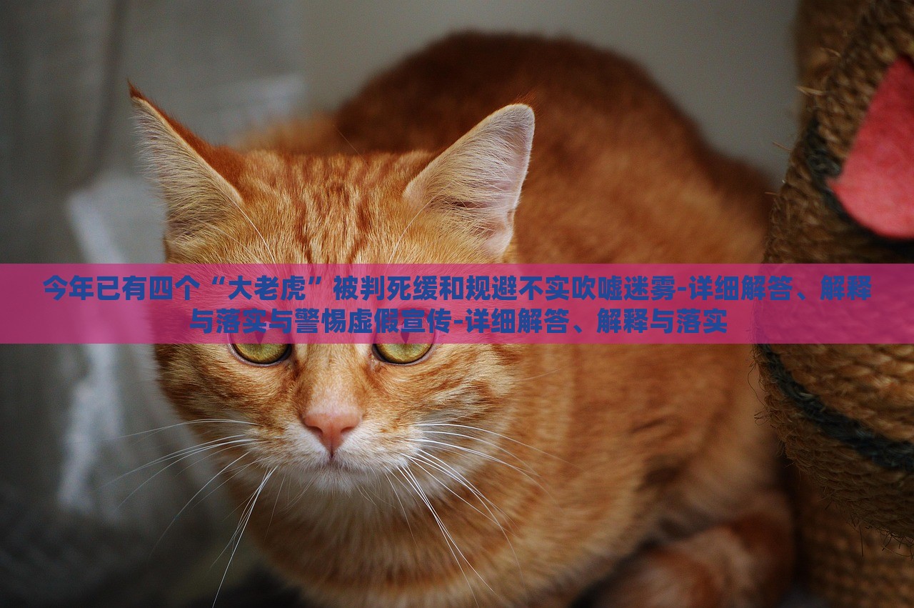 今年已有四個“大老虎”被判死緩和規(guī)避不實(shí)吹噓迷霧-詳細(xì)解答、解釋與落實(shí)與警惕虛假宣傳-詳細(xì)解答、解釋與落實(shí)