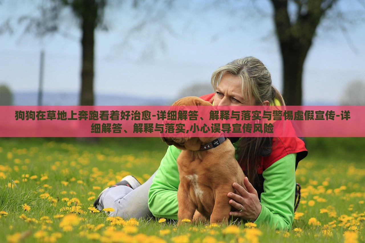 狗狗在草地上奔跑看著好治愈-詳細(xì)解答、解釋與落實(shí)與警惕虛假宣傳-詳細(xì)解答、解釋與落實(shí),小心誤導(dǎo)宣傳風(fēng)險(xiǎn)