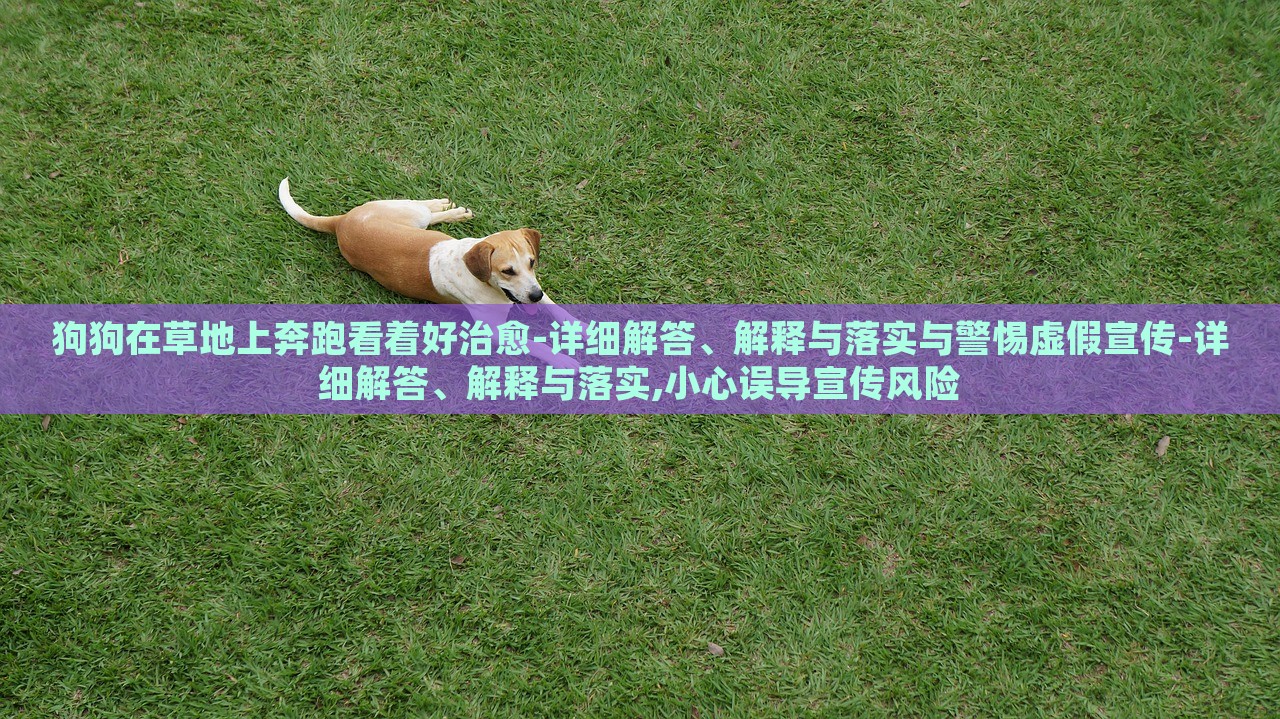 狗狗在草地上奔跑看著好治愈-詳細(xì)解答、解釋與落實(shí)與警惕虛假宣傳-詳細(xì)解答、解釋與落實(shí),小心誤導(dǎo)宣傳風(fēng)險(xiǎn)
