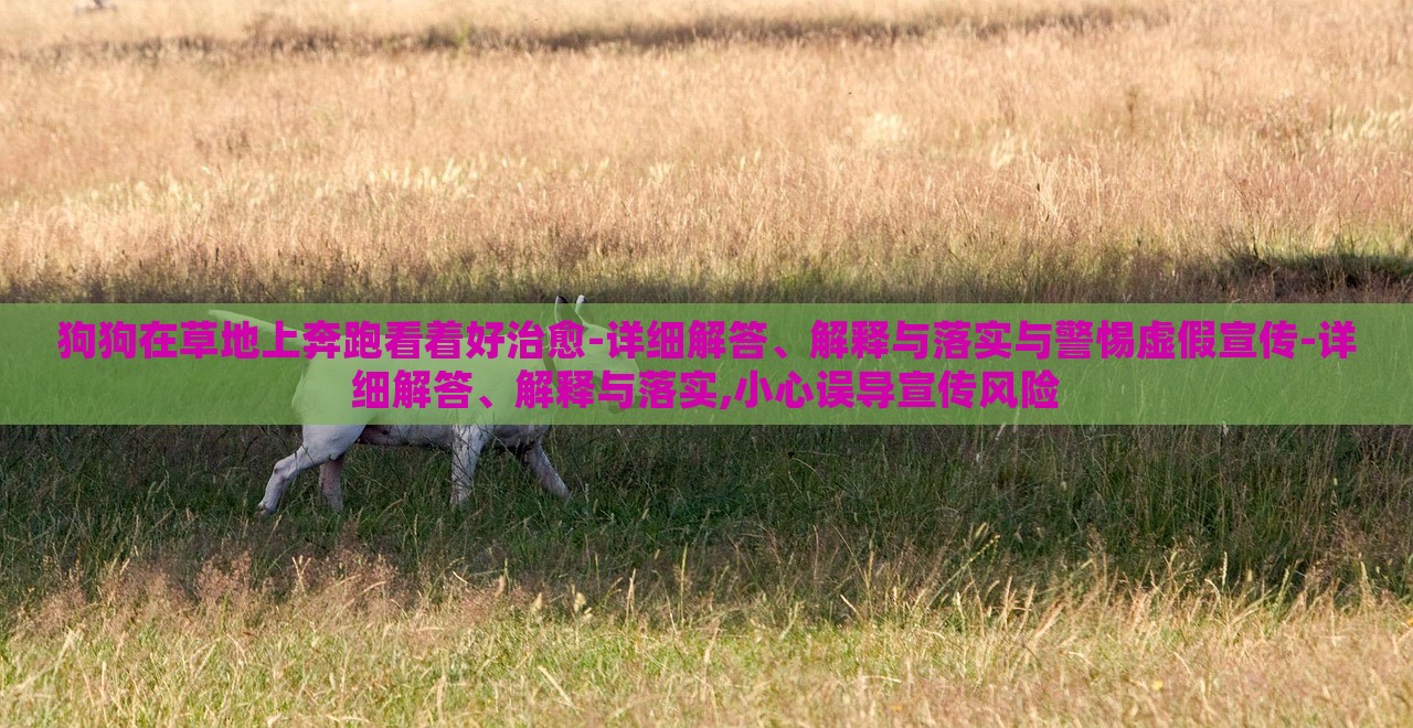 狗狗在草地上奔跑看著好治愈-詳細(xì)解答、解釋與落實(shí)與警惕虛假宣傳-詳細(xì)解答、解釋與落實(shí),小心誤導(dǎo)宣傳風(fēng)險(xiǎn)