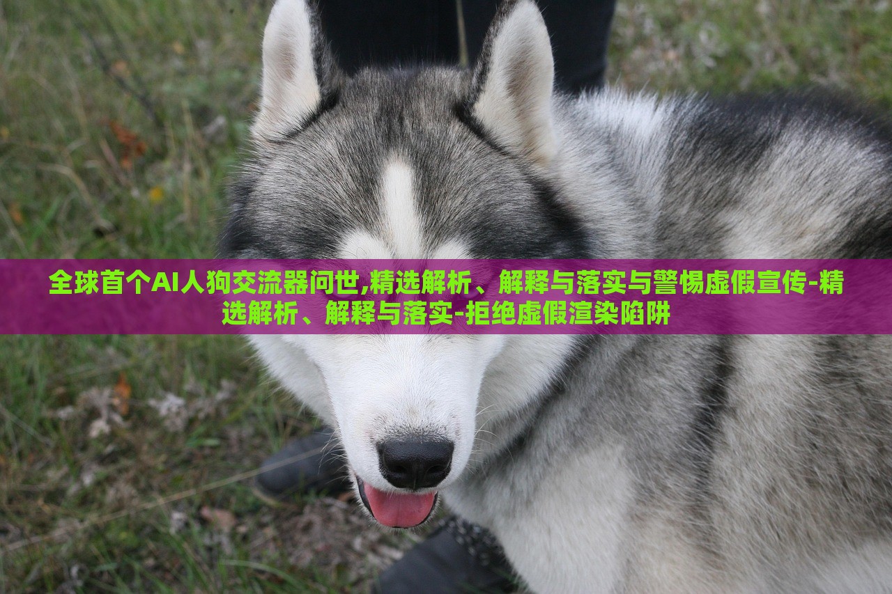 全球首個(gè)AI人狗交流器問(wèn)世,精選解析、解釋與落實(shí)與警惕虛假宣傳-精選解析、解釋與落實(shí)-拒絕虛假渲染陷阱
