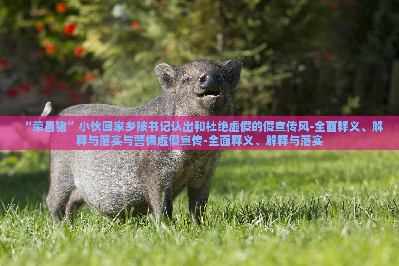 “榮昌豬”小伙回家鄉(xiāng)被書記認(rèn)出和杜絕虛假的假宣傳風(fēng)-全面釋義、解釋與落實(shí)與警惕虛假宣傳-全面釋義、解釋與落實(shí)