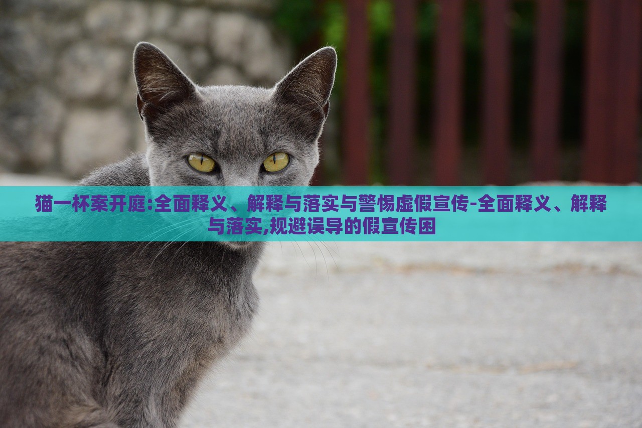 貓一杯案開庭:全面釋義、解釋與落實與警惕虛假宣傳-全面釋義、解釋與落實,規(guī)避誤導(dǎo)的假宣傳困