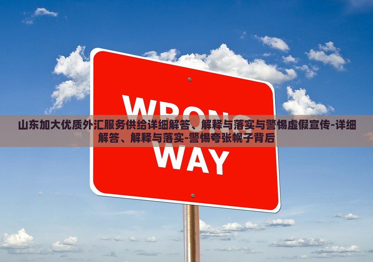 山東加大優(yōu)質(zhì)外匯服務(wù)供給詳細(xì)解答、解釋與落實(shí)與警惕虛假宣傳-詳細(xì)解答、解釋與落實(shí)-警惕夸張幌子背后