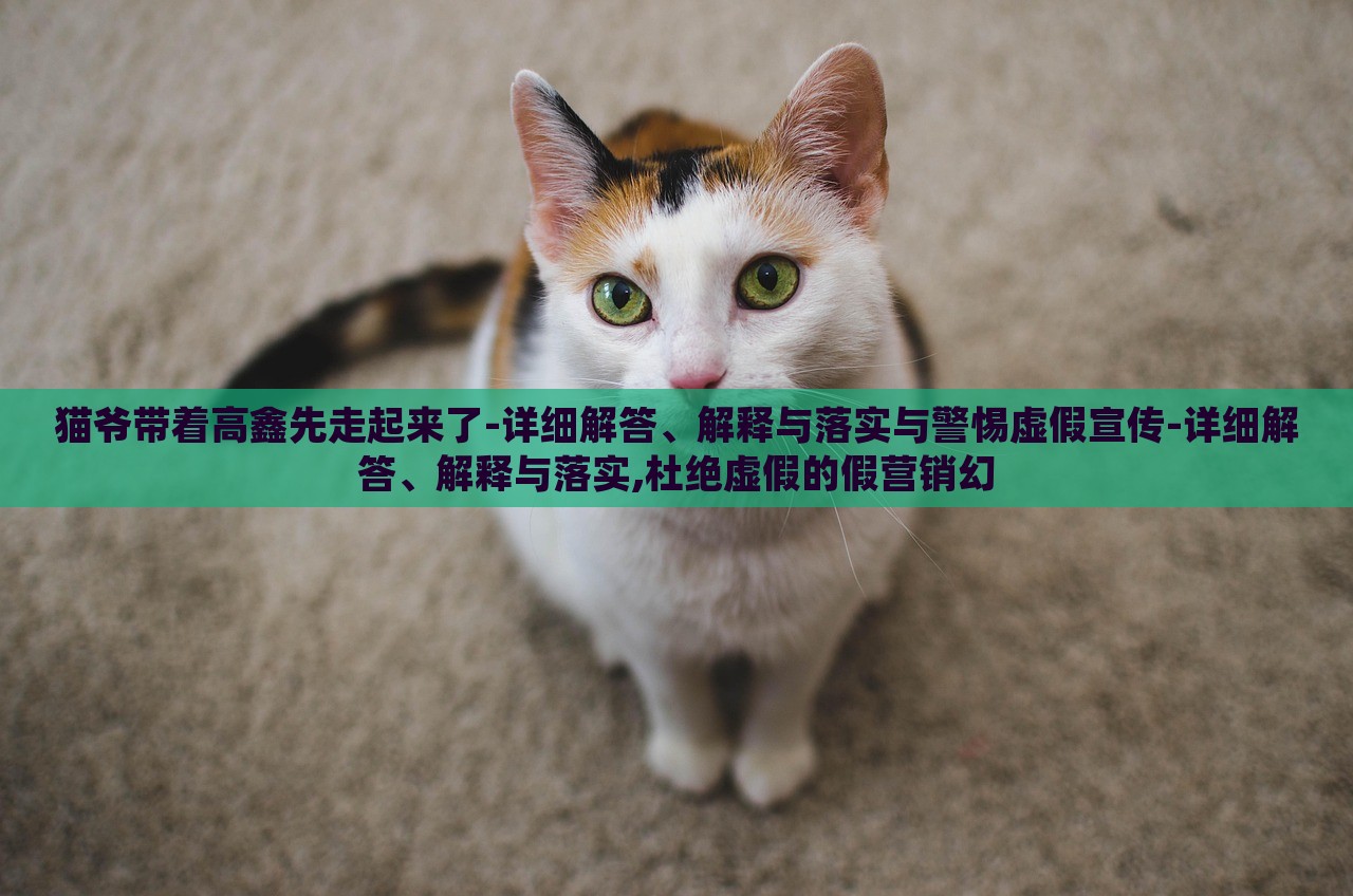 貓爺帶著高鑫先走起來了-詳細解答、解釋與落實與警惕虛假宣傳-詳細解答、解釋與落實,杜絕虛假的假營銷幻